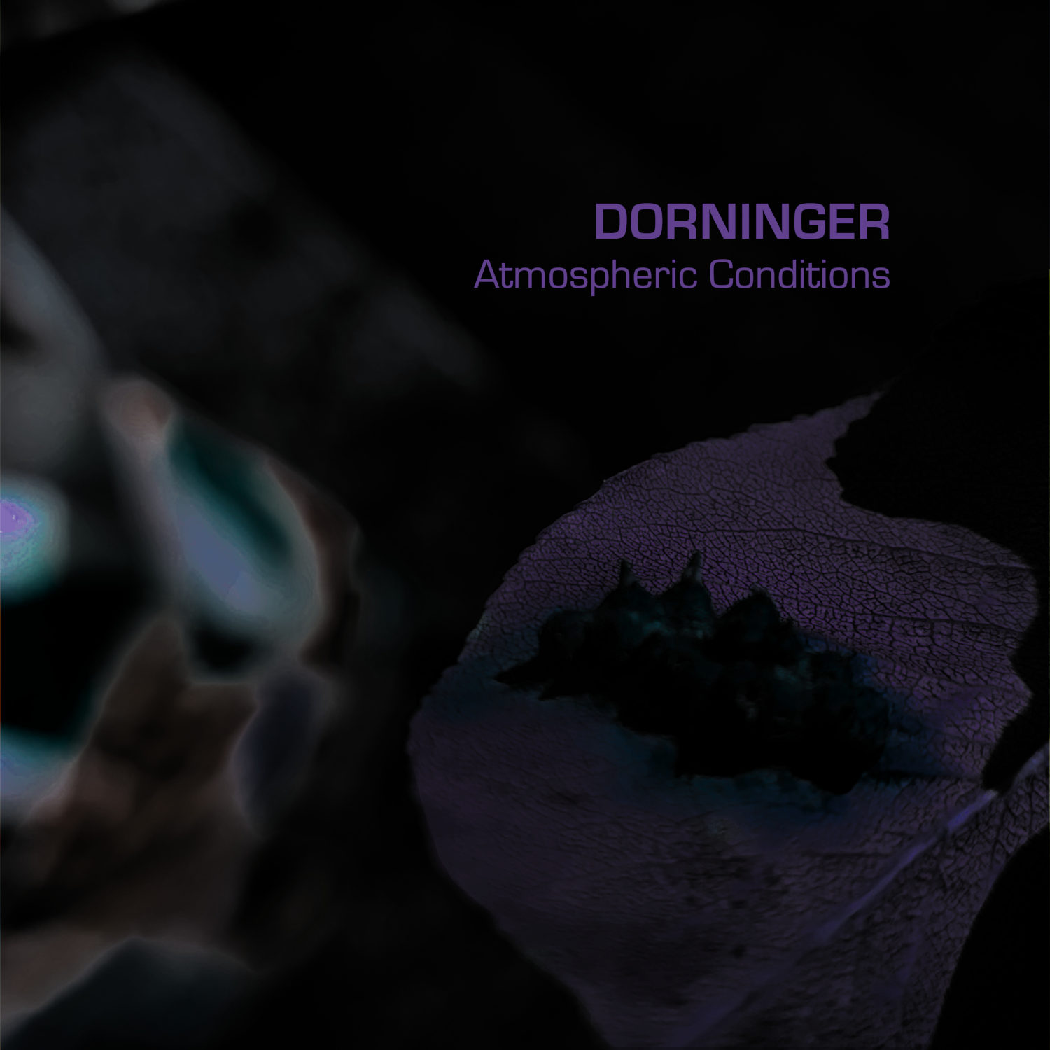 Dorninger "Atmospheric Conditions" CDR/Digital/K7
