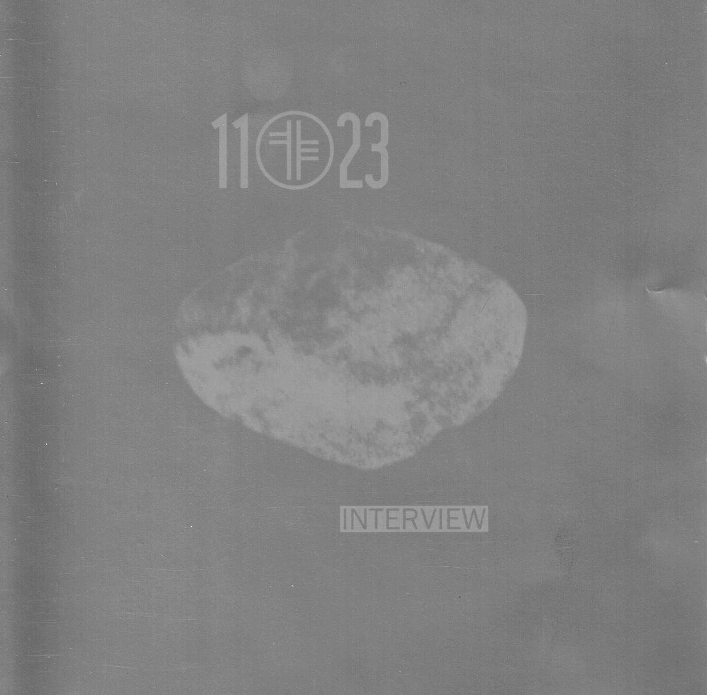 "Interview 1123 Wien" - Kunstradio/1123 (CD)