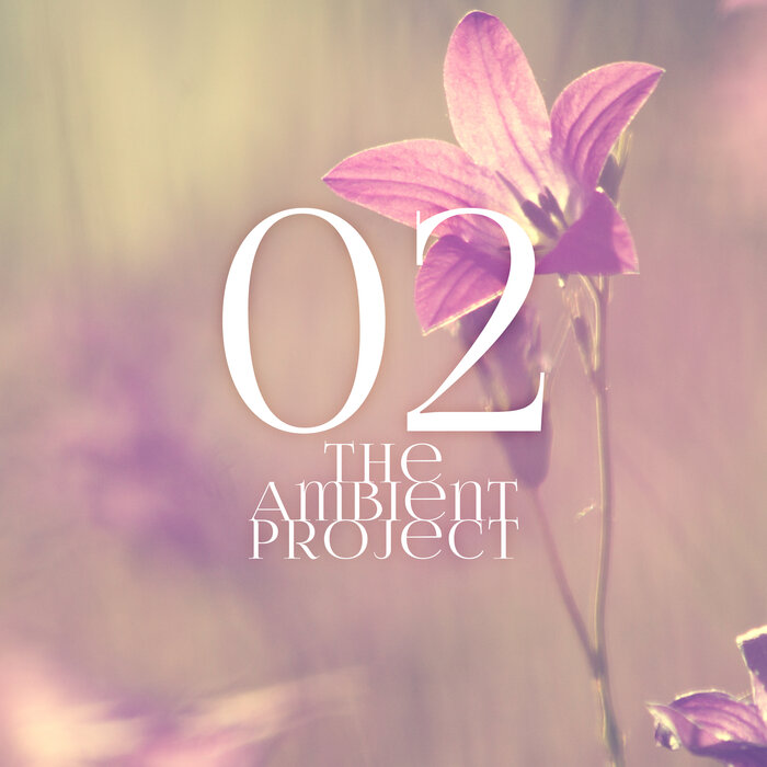 Compilation / Digital: "The Ambient Project Vol 2" - Russiamusic