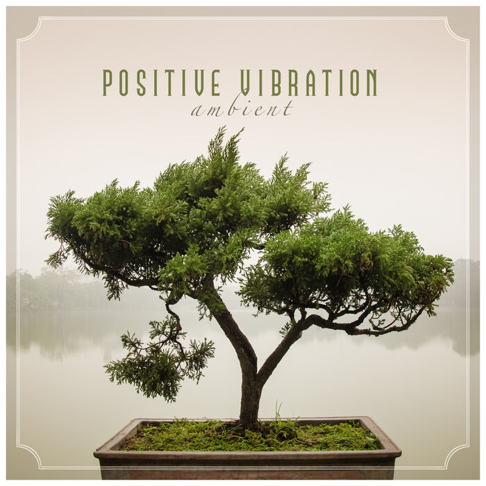 Compilation / Digital: "Positive Vibration Ambient" - Reflex Recordings