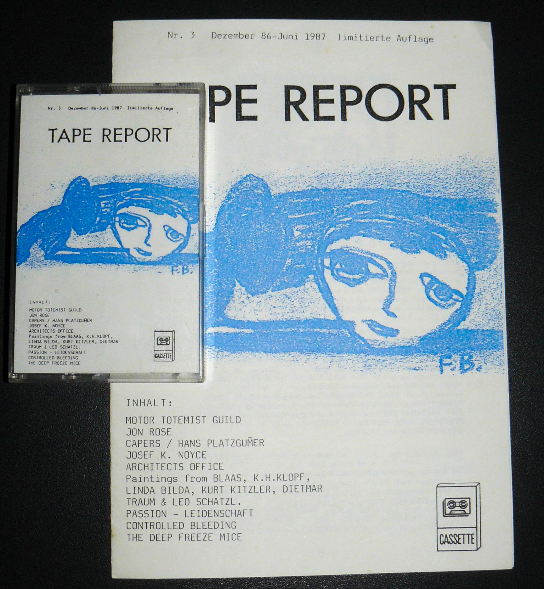 Compilation: "Tape Report #3" - Die Ind